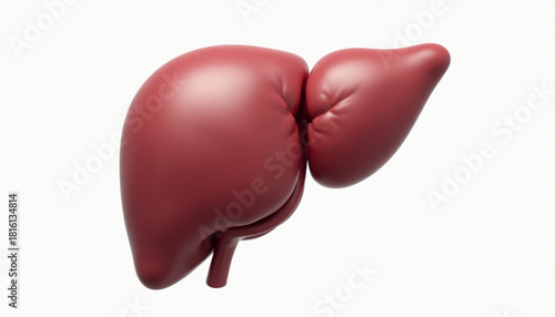3D Silhouette Icon Set of Human Liver