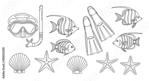 Line art illustration of snorkeling gear, starfish, seashells, and tropical fish on a white background.