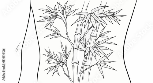 Elegant Bamboo Tattoo Design on Human Torso Outline.