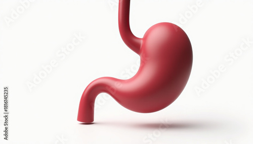 3D Silhouette Icon Set of Human Pancreas