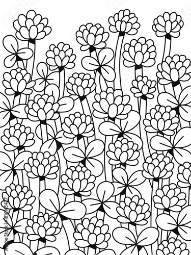 Clover flowers black and white. Flower of luck. Cute illustration of a field with clover. Black outline. Coloring page.