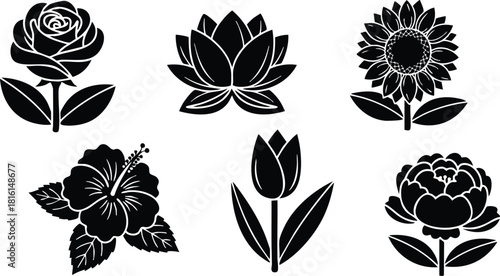 Floral vector illustrations featuring various flower designs for creative projects and decor 