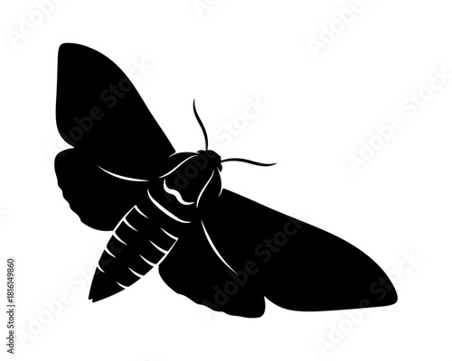 Elegant black vector silhouette illustration of a moth, highlighting its detailed wings and nocturnal beauty. Perfect for nature and insect-themed designs