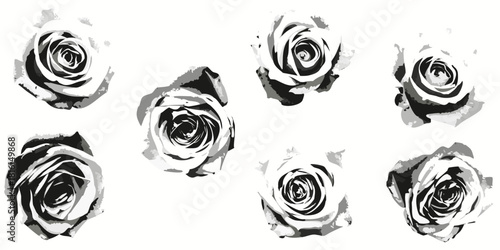 Monochrome roses pattern beautiful floral arrangement in black and white