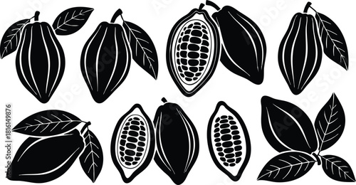 Cocoa fruit illustration with whole and sliced pods surrounded by leaves for culinary and design projects 
