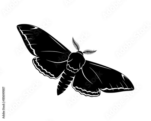 Clean black vector silhouette illustration of a moth with intricate wing patterns, depicting its delicate form and nocturnal essence, ideal for design elements and nature-themed graphics
