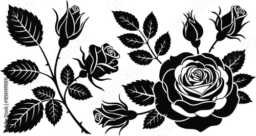 Black roses floral design with elegant leaves and buds for artistic creations and decorations 