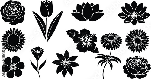 Black silhouette vector illustrations of various flower types including tulips, lotus, and hibiscus for creative projects 