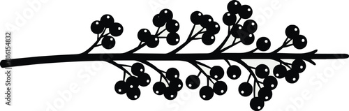 Silhouette of a berry branch isolated on white background.