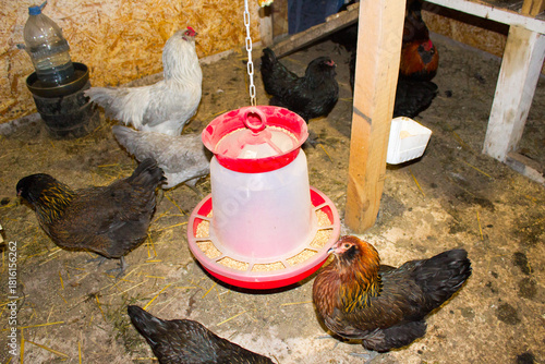 The chicken feeder in the coop is suspended.