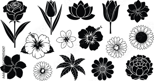 Black and white floral vector illustration featuring various flower designs for creative projects and digital art 