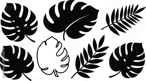Various black tropical leaves silhouettes for nature-inspired designs and decor 