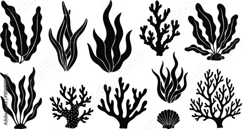 Various types of seaweed and coral in black silhouette style for marine-themed designs and illustrations 