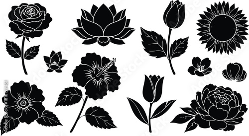 Floral vector illustration featuring various flower designs including roses, tulips, and sunflowers for creative projects 