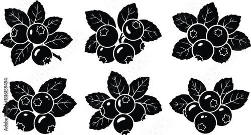 Blueberry illustrations featuring lush leaves and berries in various arrangements for design projects 