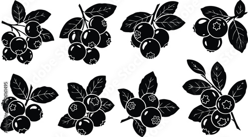 Blueberry vector illustrations featuring various arrangements and styles of blueberries with leaves for creative designs 