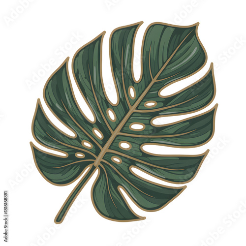 Green Monstera Leaf Illustration with Brown Outline and White Background plant tropical