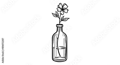 Delicate bloom in a glass vessel simplistic floral sketch botanical artistry drawing line art