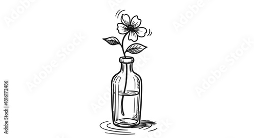 Delicate floral sketch in a clear glass vase, embodying simplicity and artistic charm