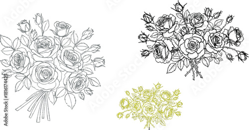 excellent and detailed explanation of the three rose- and their different  styles, along with a clear interpretation of their significance in a graphic design workflow.