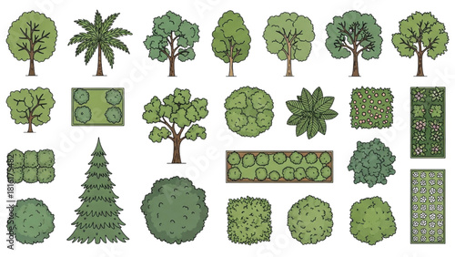 Diverse collection of tree and shrub symbols for landscape architecture and urban planning illustrations