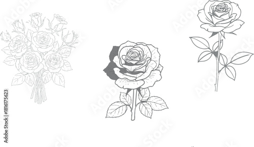 "The image features three black and white line drawings of roses. The first image is a bouquet of roses, the second a close up of a single rose with leaves, 