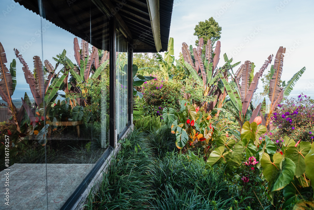 Fototapeta premium Tropical garden with vibrant foliage surrounding a modern glass villa.