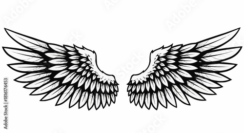 Detailed illustration of a pair of majestic angel wings in black and white.