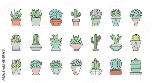 Stylized collection of potted succulents and cacti plants in minimalist design isolated on white