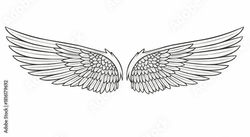 Detailed Illustration of Angel Wings Spread Open.