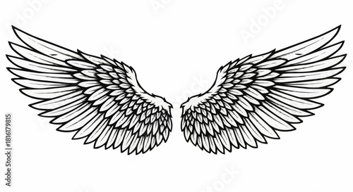 Detailed Black and White Illustration of Angel Wings.