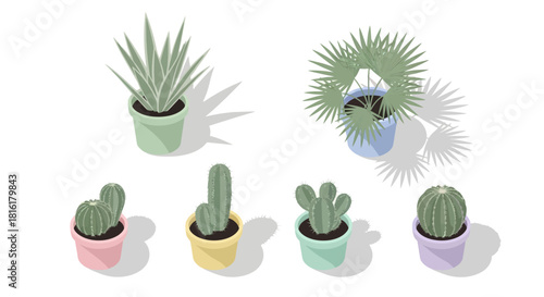 Isometric potted plants assortment showcasing a variety of cacti and greenery for interior decor