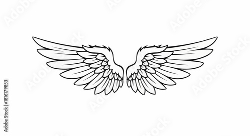 Detailed Line Art Illustration of Angel Wings Spread Open.