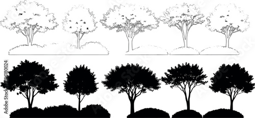 Artistic set of deciduous tree illustrations, showcasing various forms in both detailed contour line drawings and bold black silhouette versions, symbolizing nature's diversity and growth