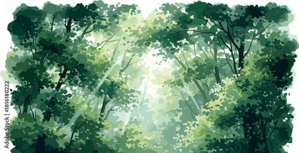 Obraz premium Sunlight Filters Through a Lush Green Forest Canopy, Creating a Serene and Peaceful Scene