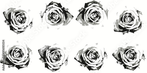 Monochrome roses pattern floral design in black white and grey tones