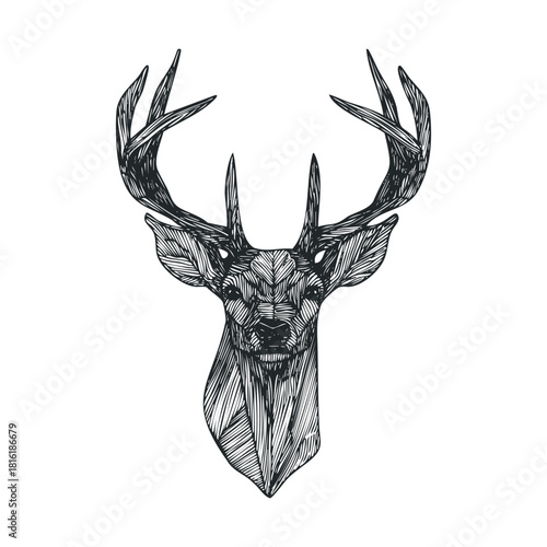 Detailed sketch of a majestic deer head for creative design use.Vector hand draw