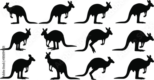Kangaroo silhouette collection vector illustration, Australian animal icons set, jumping wallaby character, black wildlife isolated on white background for travel logo.