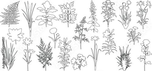 set of shrubs and grass line cad, Ground cover. Illustration for elevation architectural element, side view, grass section. vector illustration
