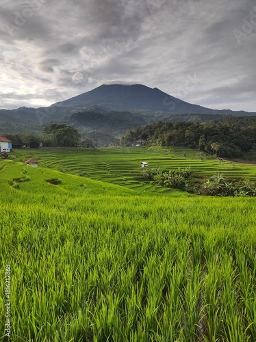 landscape in the mountains