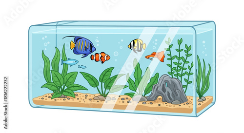Aquarium with Colorful Fish and Aquatic Plants Illustration for Decoration