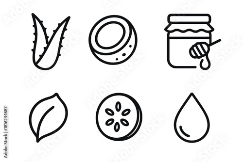 Natural Ingredient Icons. Natural Ingredients linear icon set. aloe leaf, coconut, honey jar, rose petal, cucumber slice, essential oil drop