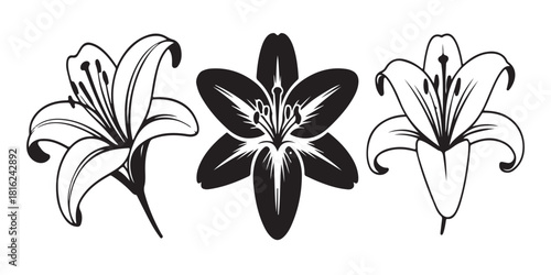 Elegant Lily Flowers in Black and White Minimalist Design Vector Graphic