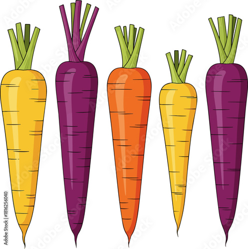 Create a Five colorful carrots PNG isolated on transparent background, yellow and purple root vegetables for healthy eating and vegetarian diet vector art with white background