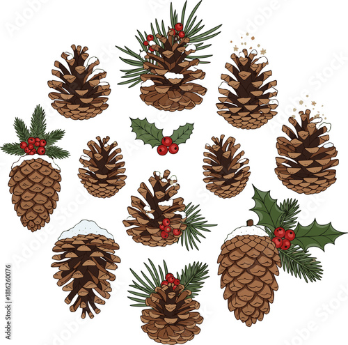 Create a set of many different pine cones for christmas decoration vector art with white background..