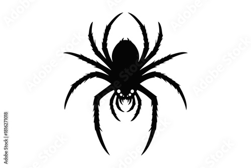 Silhouetted Black Spider with Sharp Fangs and Multiple Legs, Symbolizing Arachnids and Insects