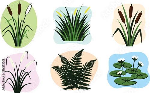 Set of six vector illustrations of aquatic and marsh plants with lily pads cattails ferns and rushes in colorful backgrounds