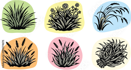 Set of six different grass plants silhouette vector illustration with colorful background shapes natural garden flora design