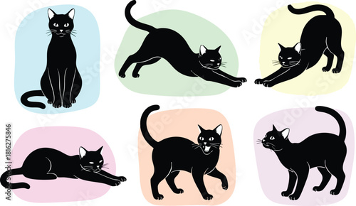 Black cat poses vector illustration playful stretching sitting and walking cats in colorful background