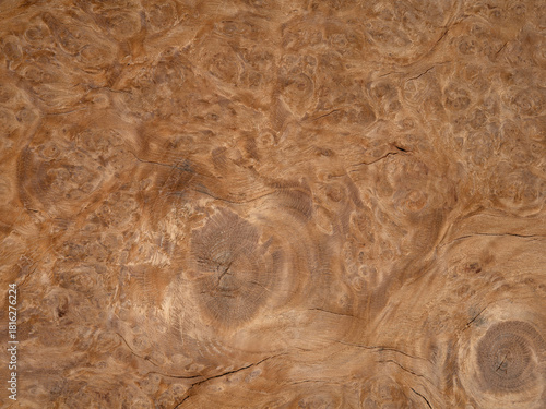 Oak burl veneer showcasing intricate swirls and rich, complex patterns